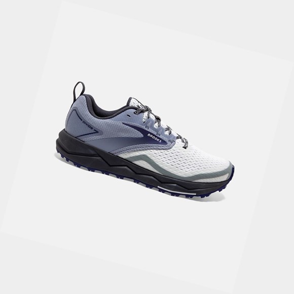 Brooks Divide 2 Women's Trail Shoes Grey / Dawn / Blue Ribbon | TUAC-16879